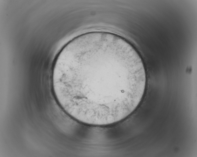 X0000112431514200909041424