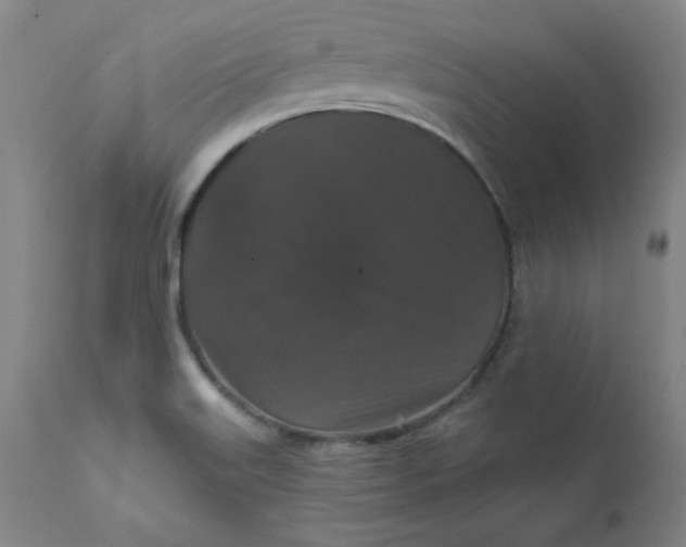 X0000112431515200909041424