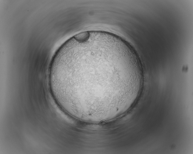 X0000112431517200909041424