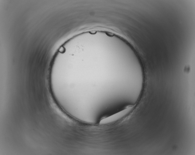 X0000112431518200909041424