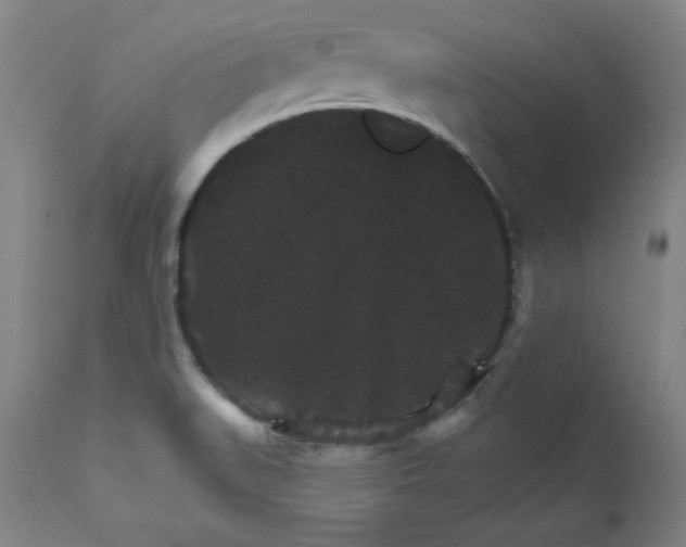 X0000112431519200909041424