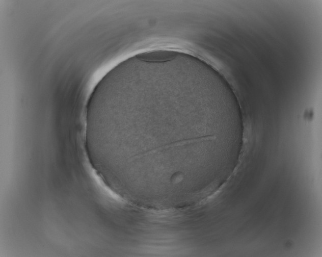 X0000112431520200909041424