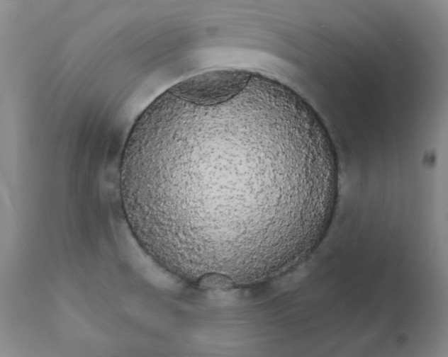 X0000112431521200909041424