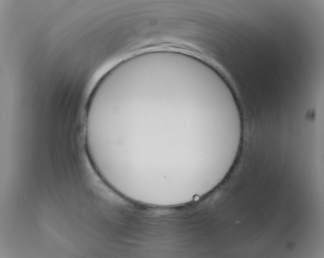 X0000112431522200909041424