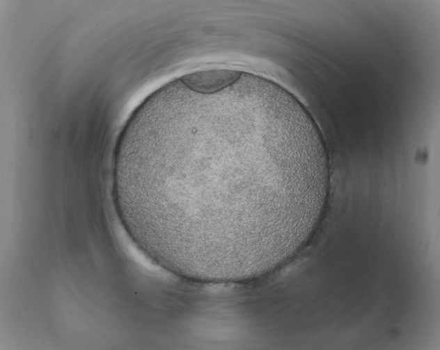 X0000112431523200909041424