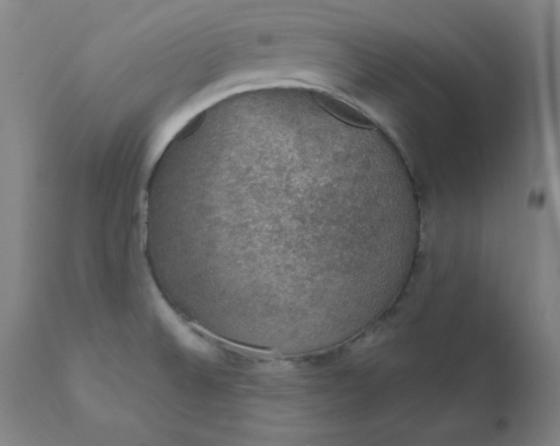 X0000112431524200909041424