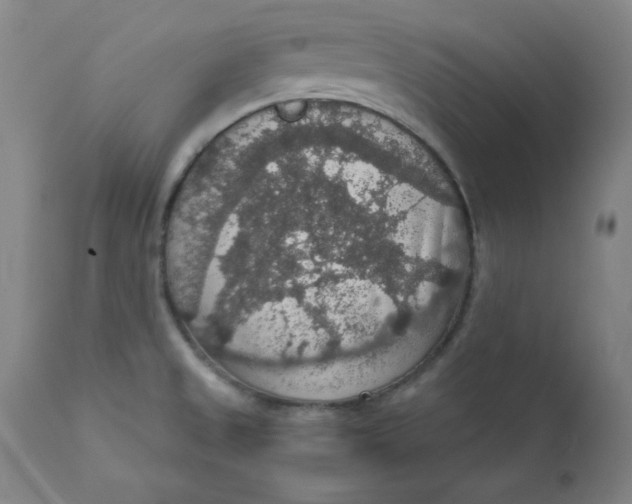 X0000112431525200909041424