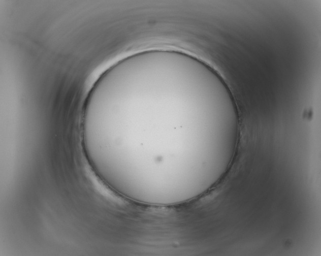 X0000112431526200909041424