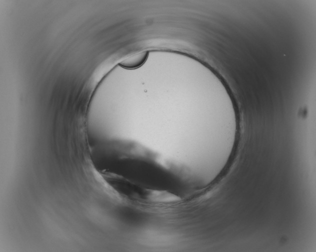 X0000112431529200909041424