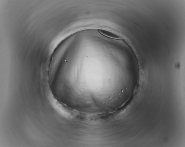 X0000112431530200909041424