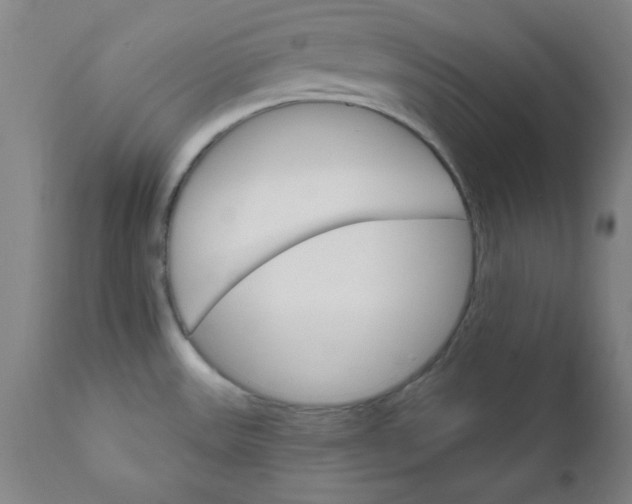 X0000112431531200909041424