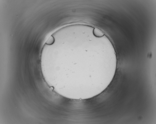 X0000112431532200909041424