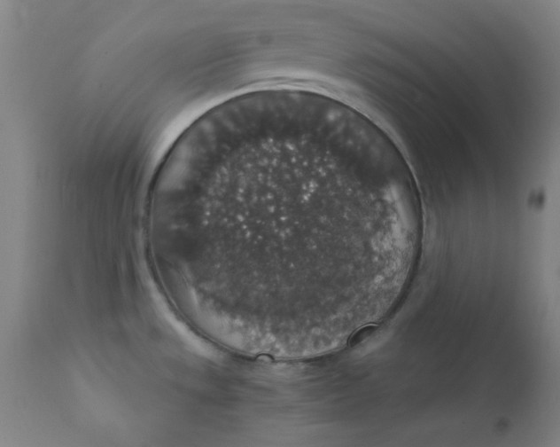 X0000112431533200909041424