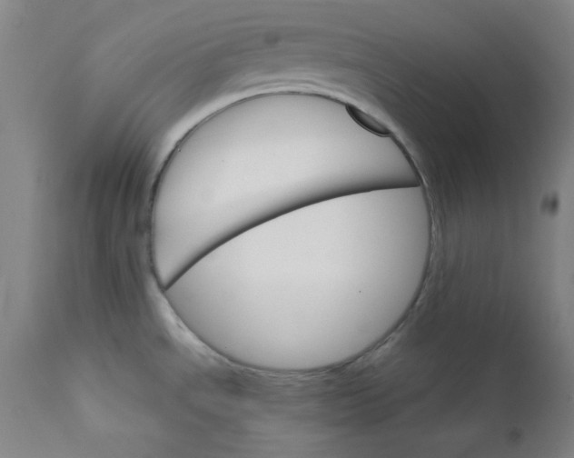 X0000112431534200909041424