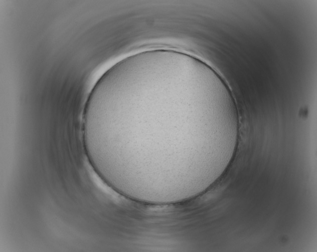 X0000112431535200909041424