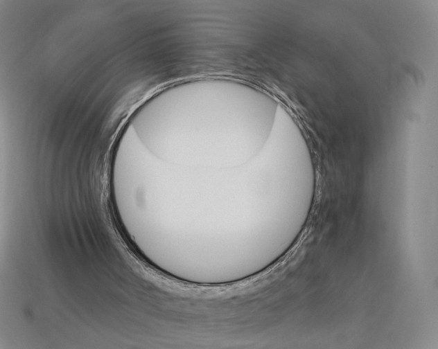 X0000112430002200909111039