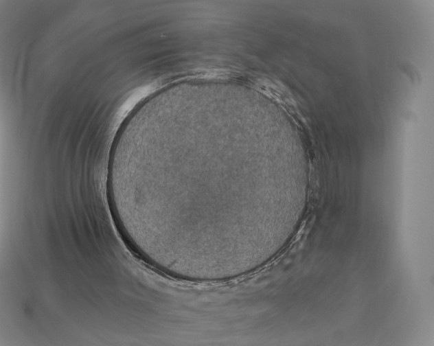 X0000112430003200909111039