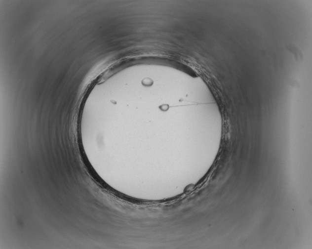 X0000112430004200909111039