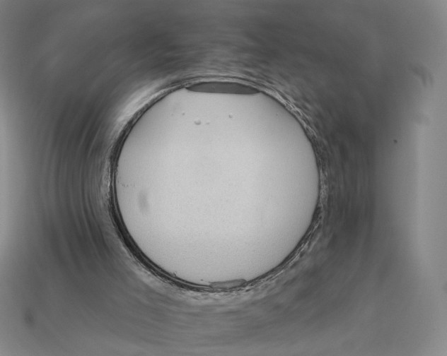 X0000112430005200909111039