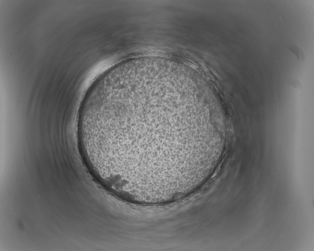 X0000112430006200909111039