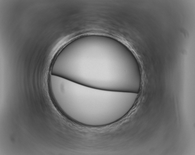 X0000112430007200909111039