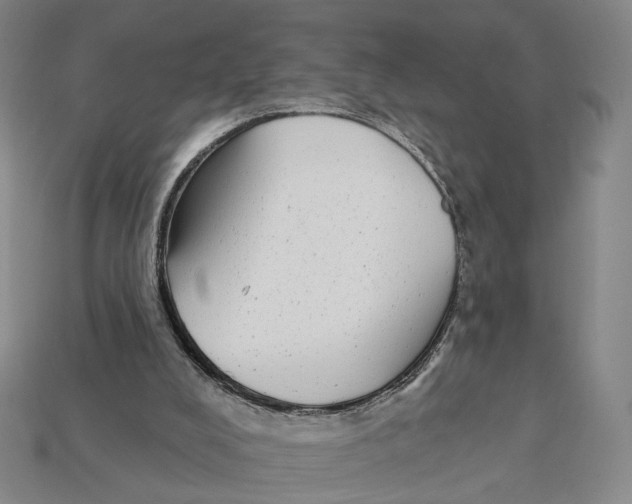X0000112430008200909111039