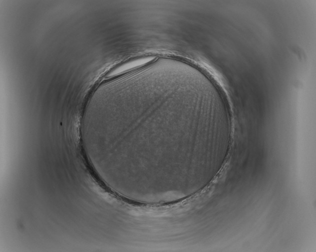 X0000112430009200909111039