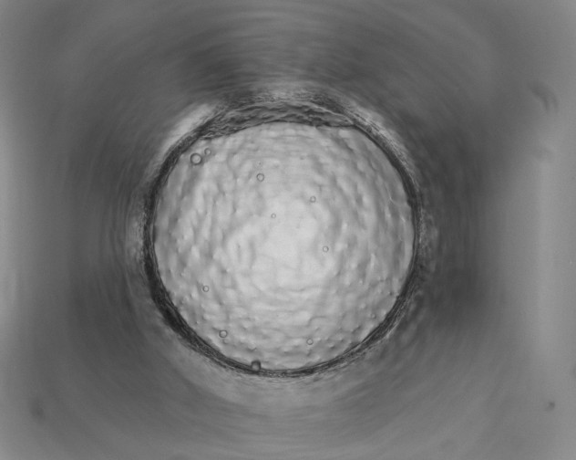X0000112430010200909111039