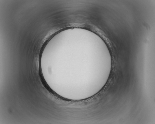 X0000112430011200909111039