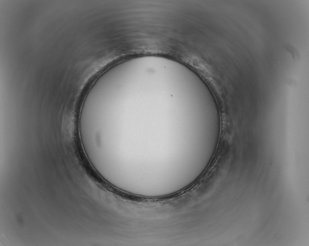X0000112430012200909111039