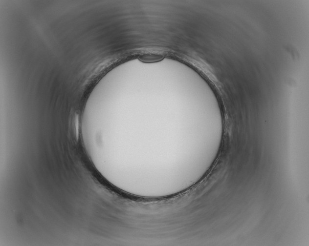 X0000112430013200909111039