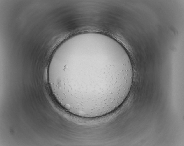 X0000112430014200909111039
