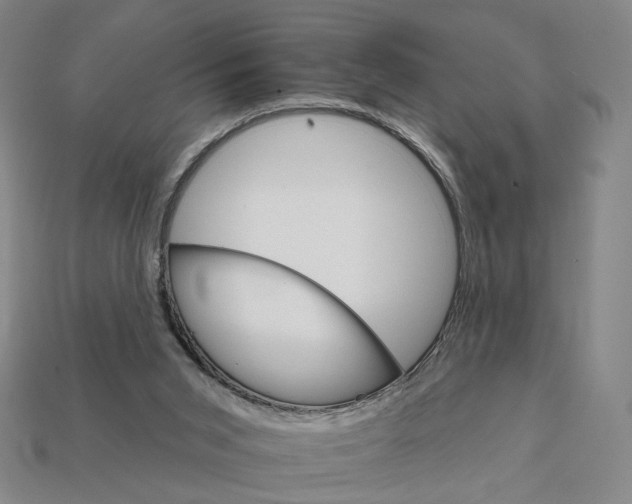 X0000112430015200909111039