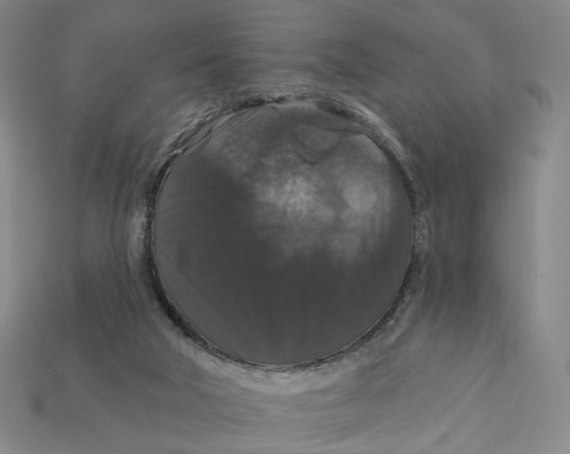 X0000112430018200909111039