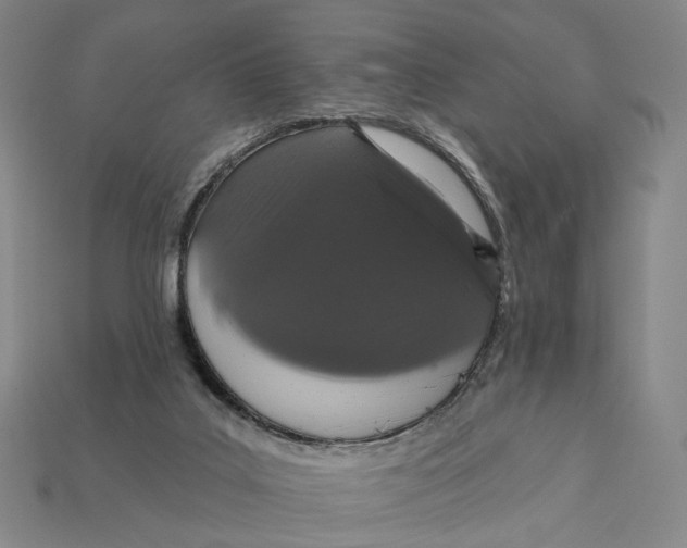 X0000112430019200909111039