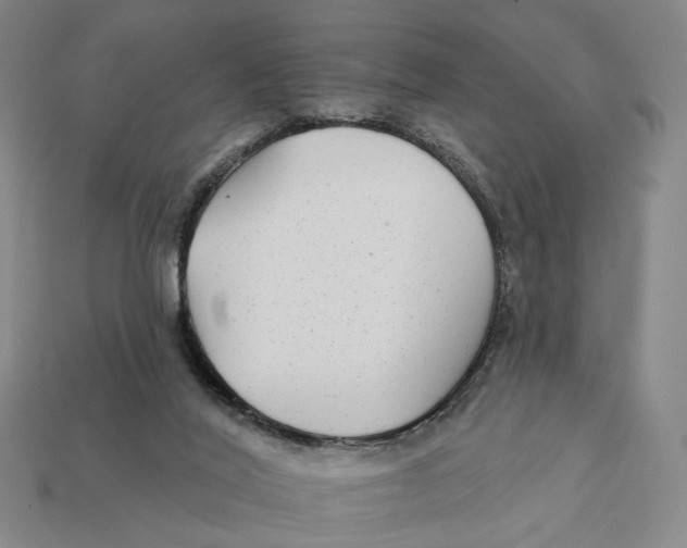 X0000112430020200909111039