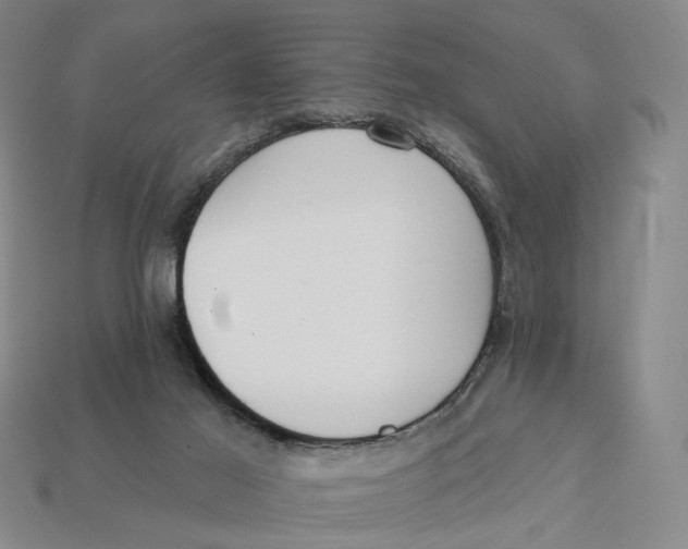X0000112430021200909111039