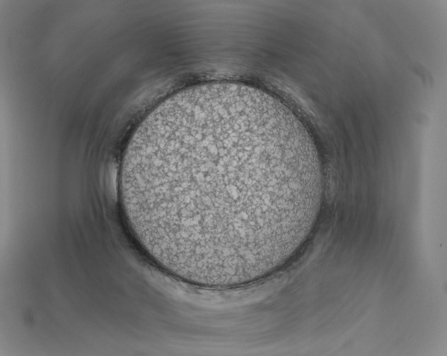 X0000112430022200909111039