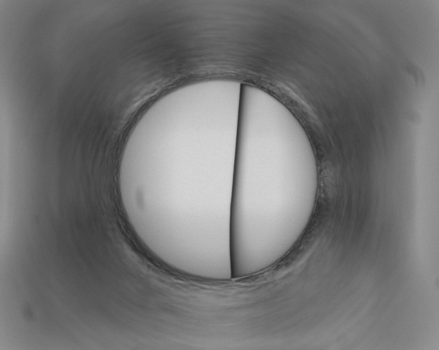 X0000112430024200909111039