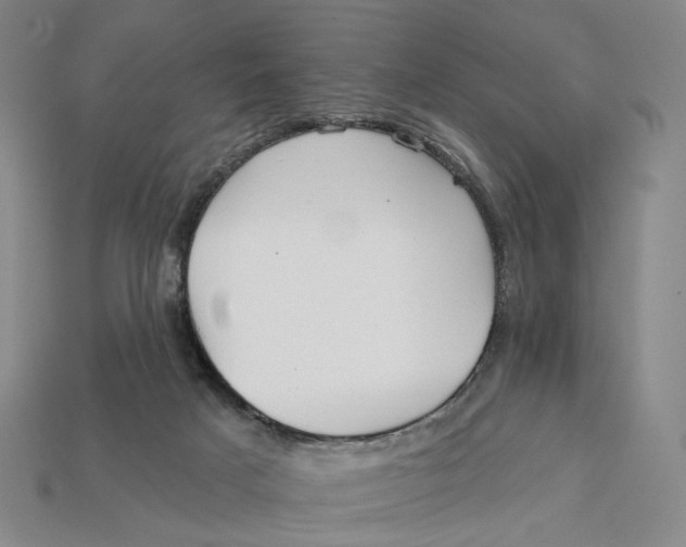 X0000112430025200909111039