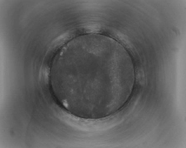 X0000112430026200909111039