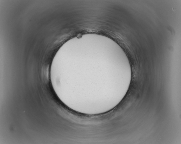 X0000112430028200909111039