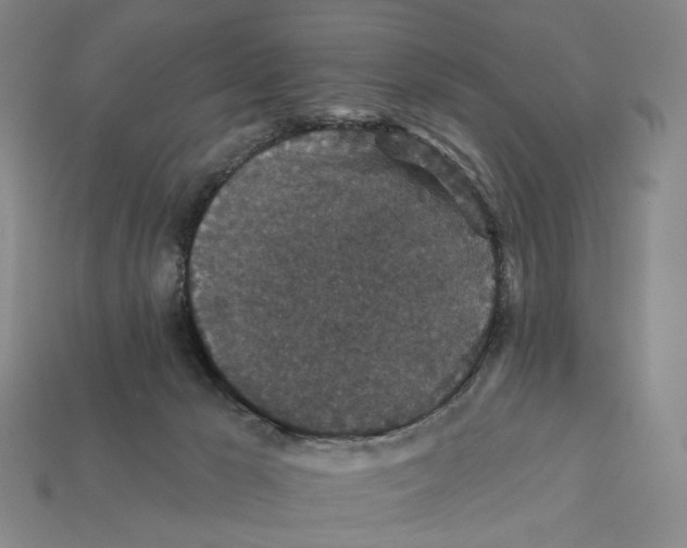 X0000112430029200909111039