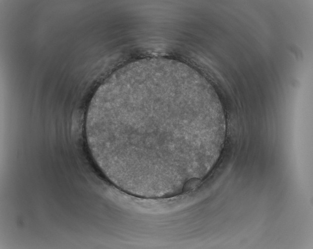 X0000112430030200909111039