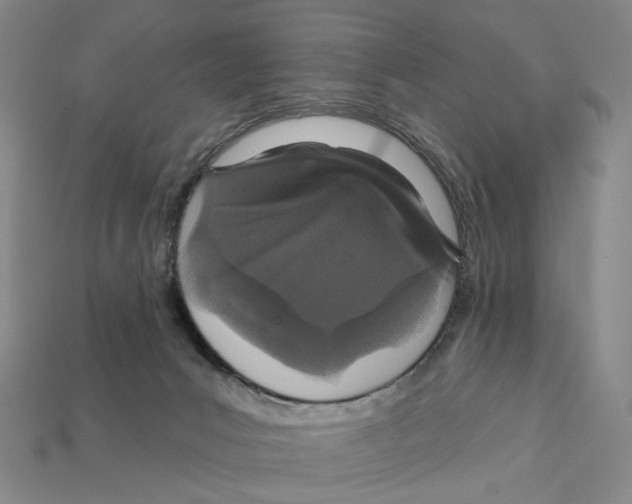 X0000112430031200909111039
