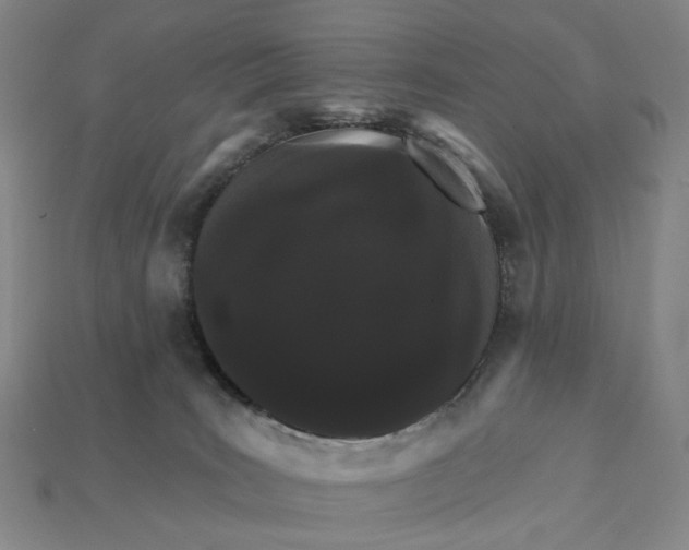 X0000112430035200909111039