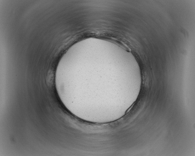 X0000112430036200909111039