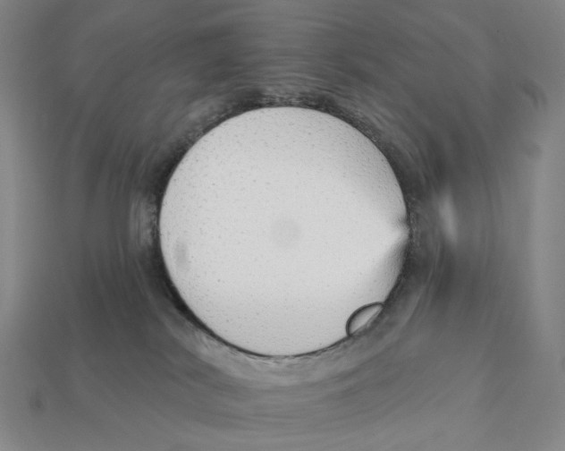 X0000112430038200909111039