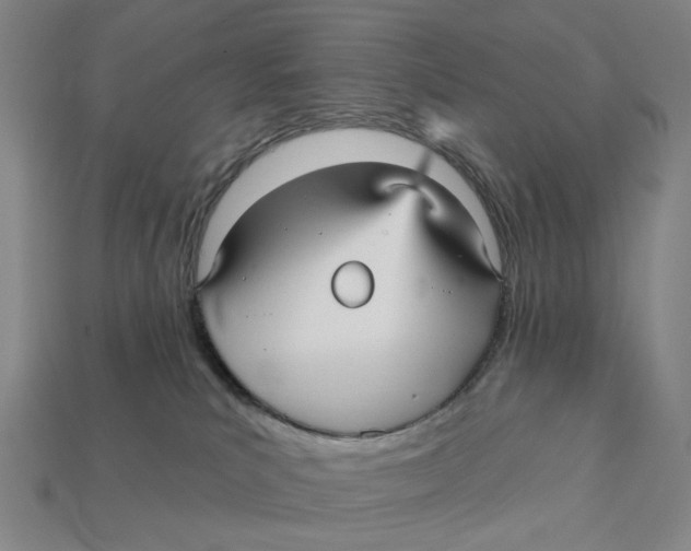 X0000112430039200909111039