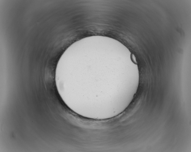 X0000112430040200909111039